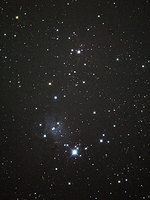 081129xmas_tree_main2.jpg