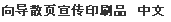 向导散页宣传印刷品　中文