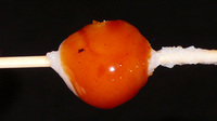 090422dango.jpg