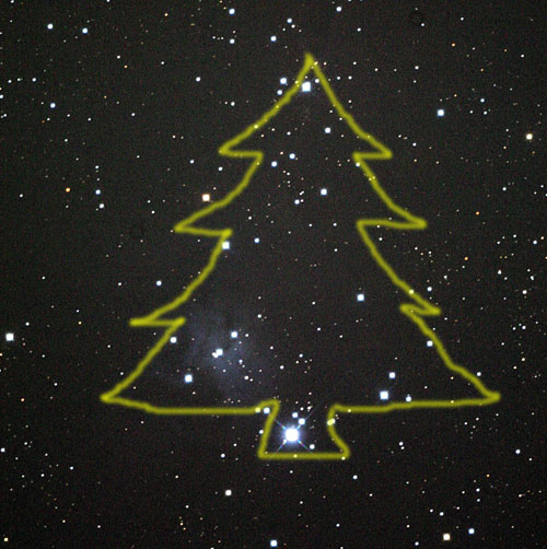 tree.jpg