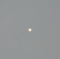 080803venus.jpg