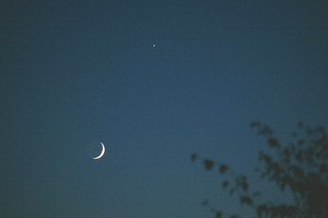 081102Mo_Ve.jpg