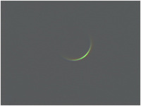 090326venus.jpg
