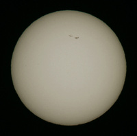 100113_Su_15cmPF.jpg