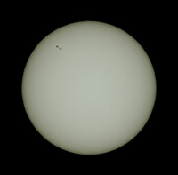 Su20100326a_15cm.jpg