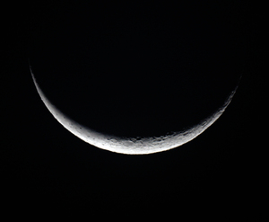 090720-31cm-Mo.jpg
