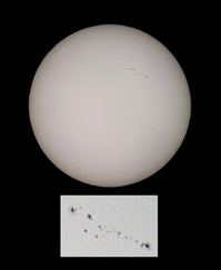 20100209_Su_15cm2.jpg