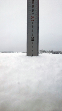 20100310snowHP.jpg