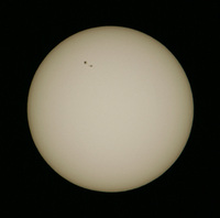 HP_Su20100327_15cmfull.jpg