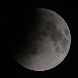 111210luna_ecl_2203.jpg