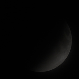 111210luna_ecl_2238.jpg