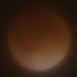 111210luna_ecl_2325.jpg