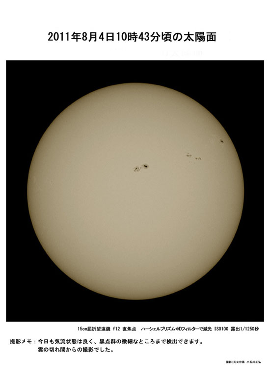 15cmSu_20110804.jpg