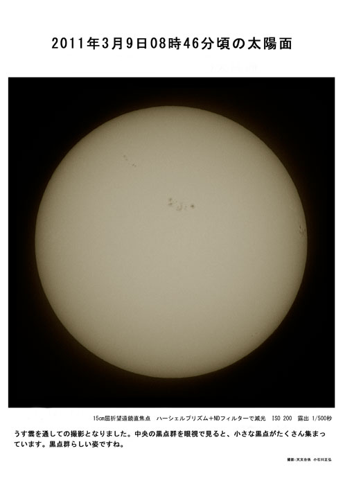20110309_15cmSu.jpg