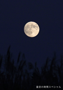 moon_2023-thumb-270xauto-12756.png