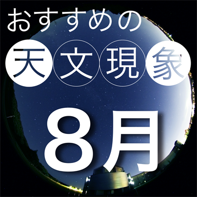 info_gaido08.png