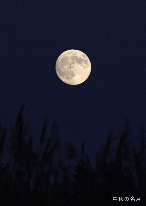 moon2024.png