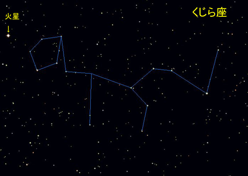 XeirQ[^[ɂ邭