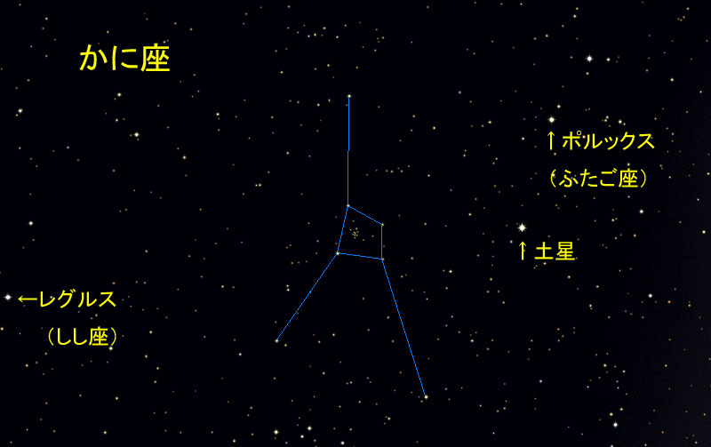 XeirQ[^[ɂ邩ɍ