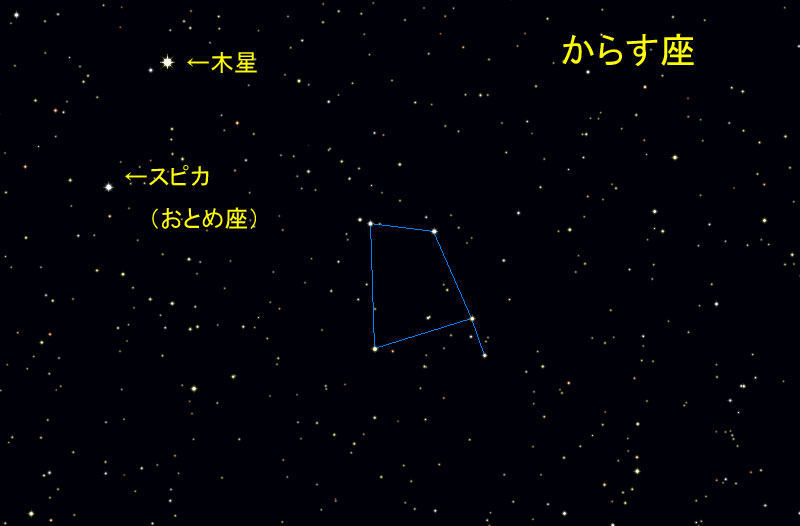 XeirQ[^[ɂ邩炷