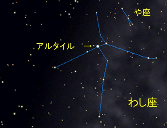 XeirQ[^[ɂ킵