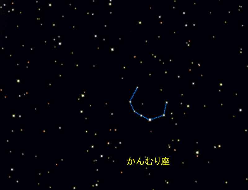 XeirQ[^[ɂ邩ނ
