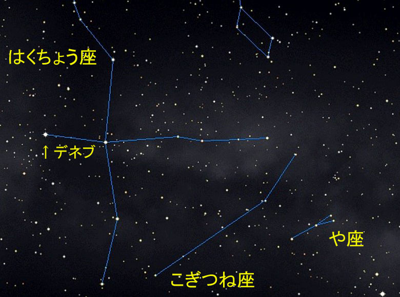 XeirQ[^[ɂ@͂傤@ˍ@