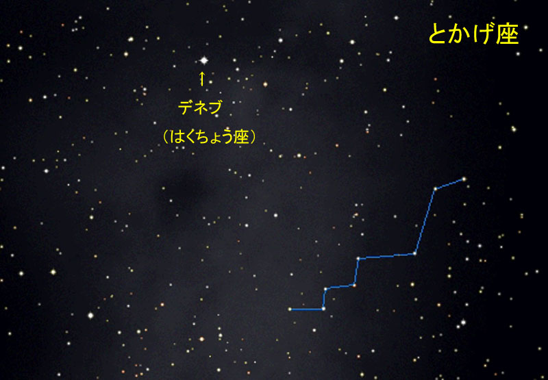 XeirQ[^ɂƂ