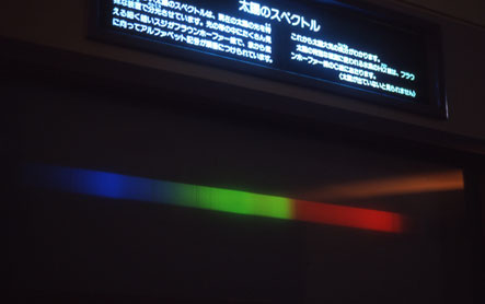 z̃XyNg@W̗lq