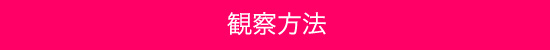 houhou.jpg