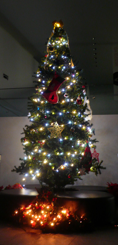 tree2009.jpg